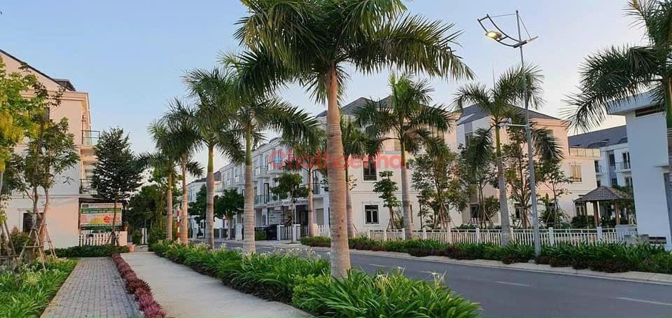 Cho thuê nhà phố liền kề. 5pn5wc.