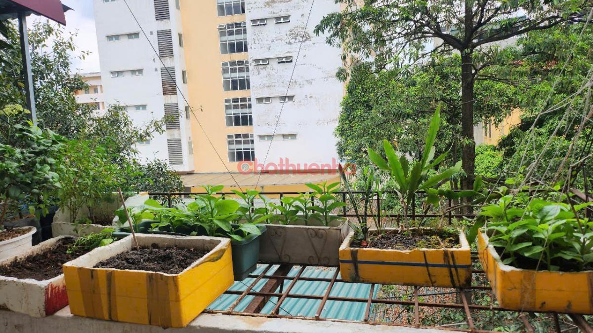 Cho thuê nhà tập thể giá rẻ, cách trường Giảng Võ 500m