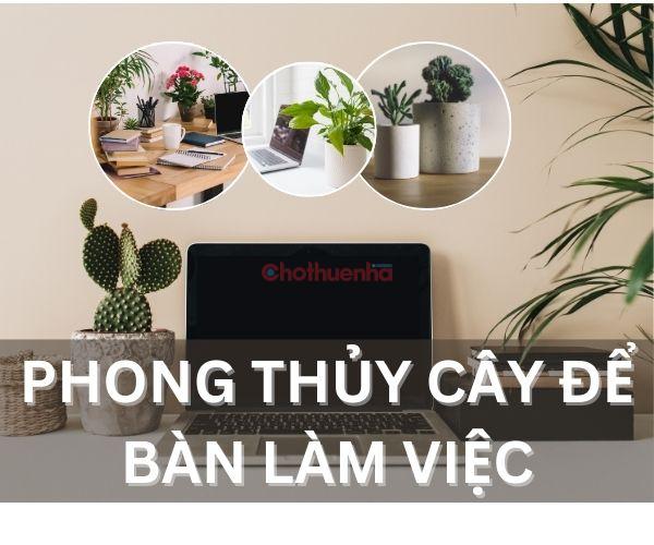 Bật mí phong thủy cây để bàn làm việc hợp mệnh, thu hút tài lộc