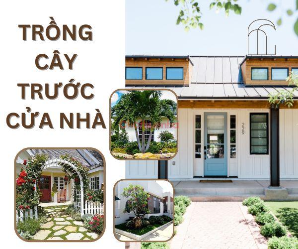 Giải đáp chi tiết việc trồng cây phong thuỷ trước nhà đón tài lộc