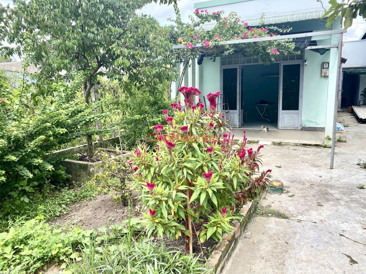 CHO THUÊ NHÀ GẤP 100 M2 ẤP 7,Đ.AN HẠ,PHẠM VĂN HAI (cũ).