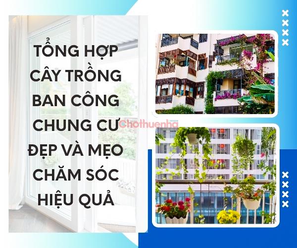 Tổng hợp cây trồng ban công chung cư đẹp và mẹo chăm sóc hiệu quả