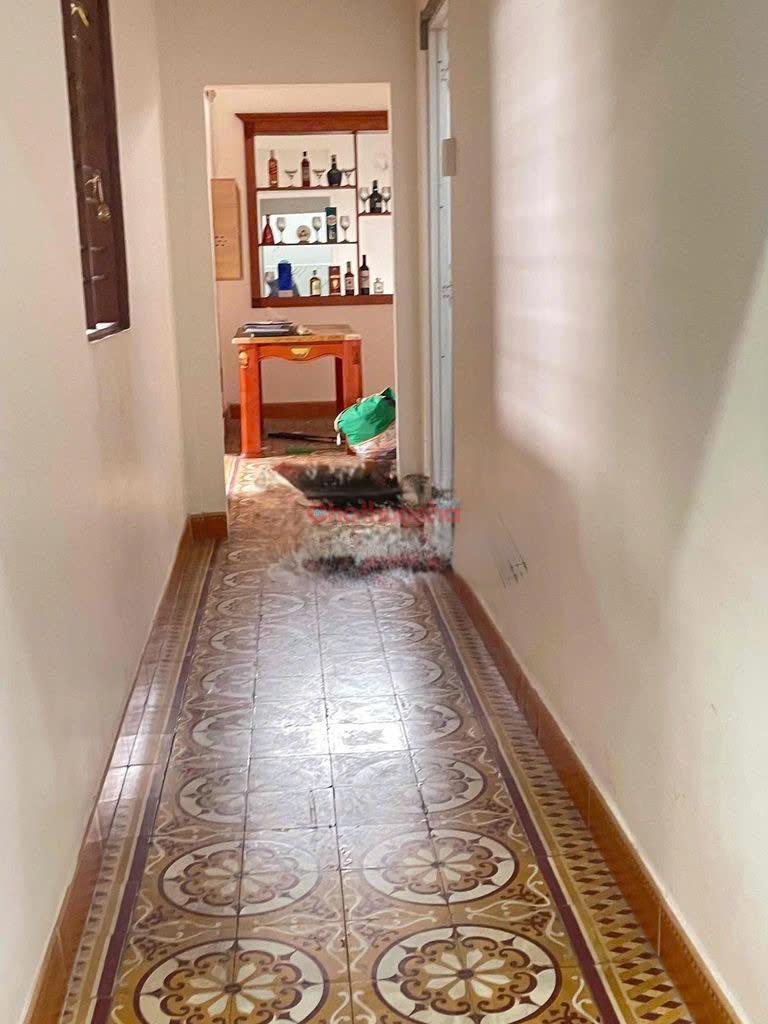 💥 NHÀ NGUYÊN CĂN SÂN VƯỜN RỘNG – TÂN BÌNH